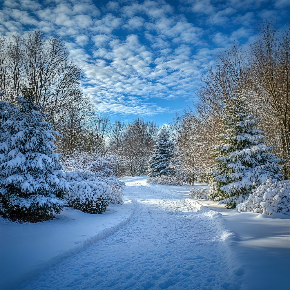 Winter Backdrops Clear Sky Snow Path Backdrop MRR7-151
