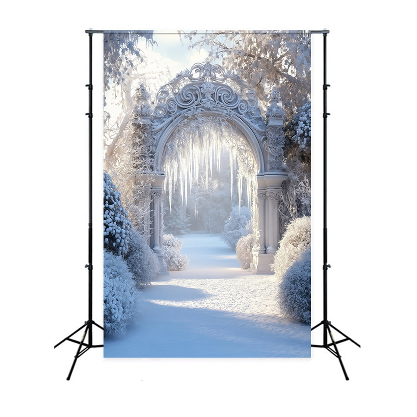 Winter Snow Backdrop Frozen Garden Arch Backdrop MRR7-175