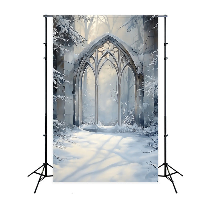 Winter Photo Backdrop Frosted Gothic Arch Backdrop MRR7-179