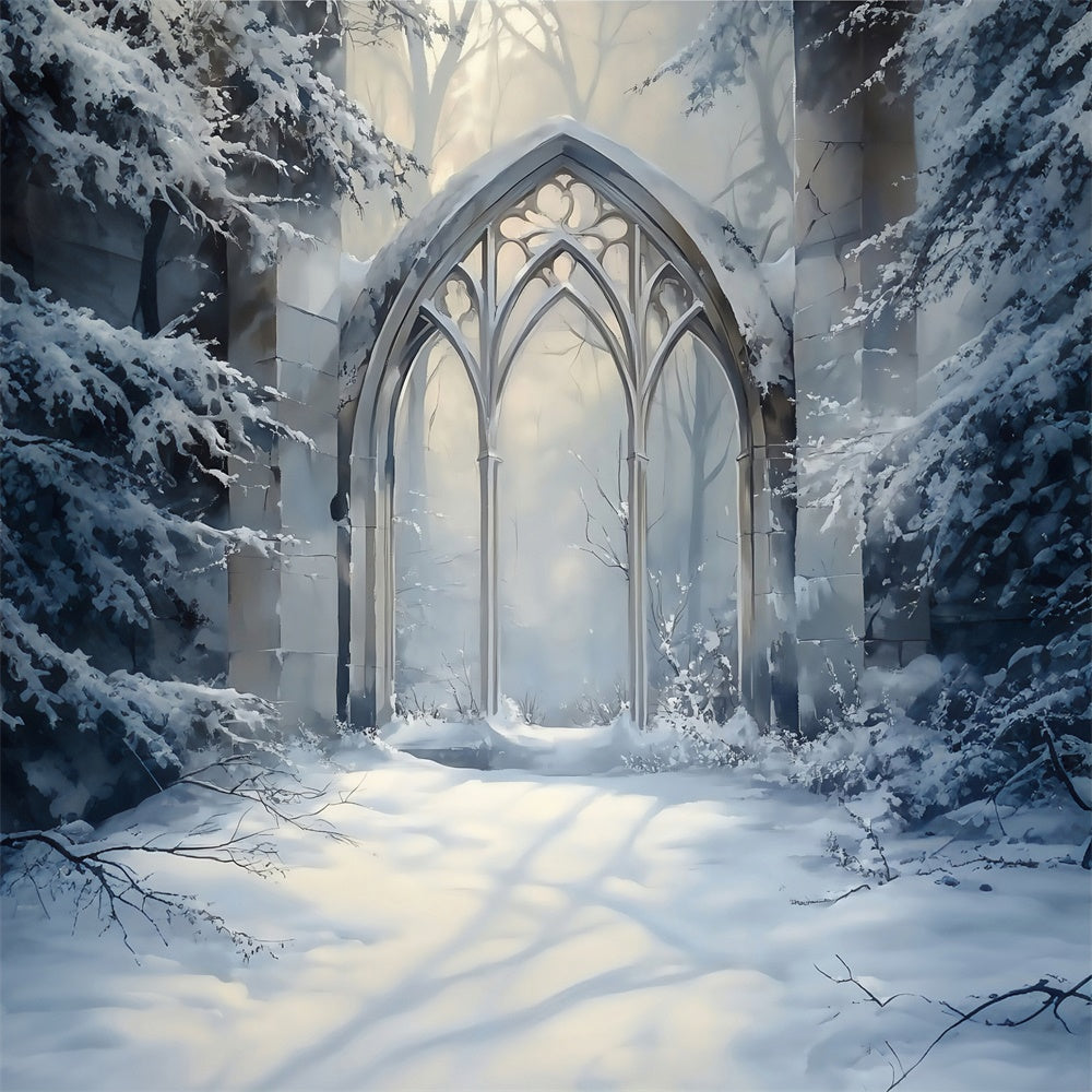 Winter Photo Backdrop Frosted Gothic Arch Backdrop MRR7-179