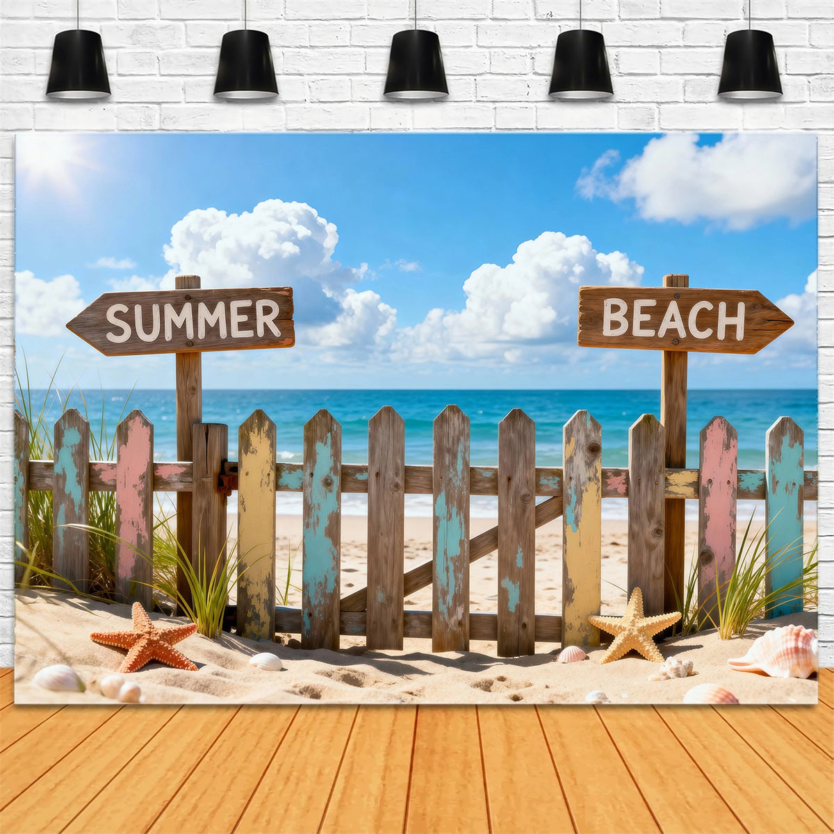 Beach Theme Backdrop Colorful Beach Signposts Summer Photography Backdrop RR61-27