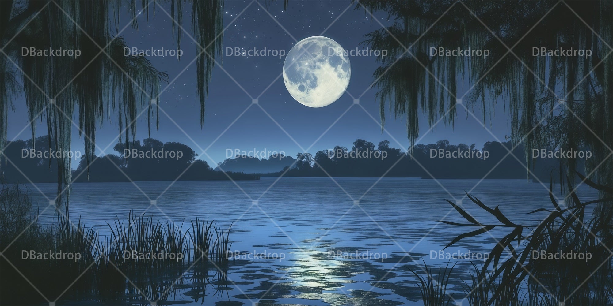 Scenery Backdrops For Theater Moonlit Bayou Lagoon Scenic Backdrops RR66-T77