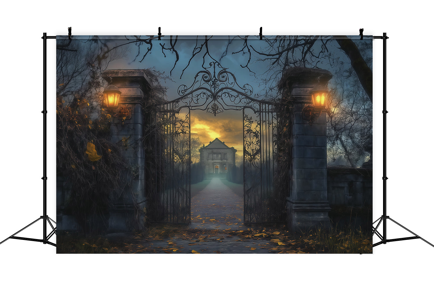 Halloween House Backdrop Foggy Mansion Iron Gate Halloween Cemetery Backdrop RR67-77