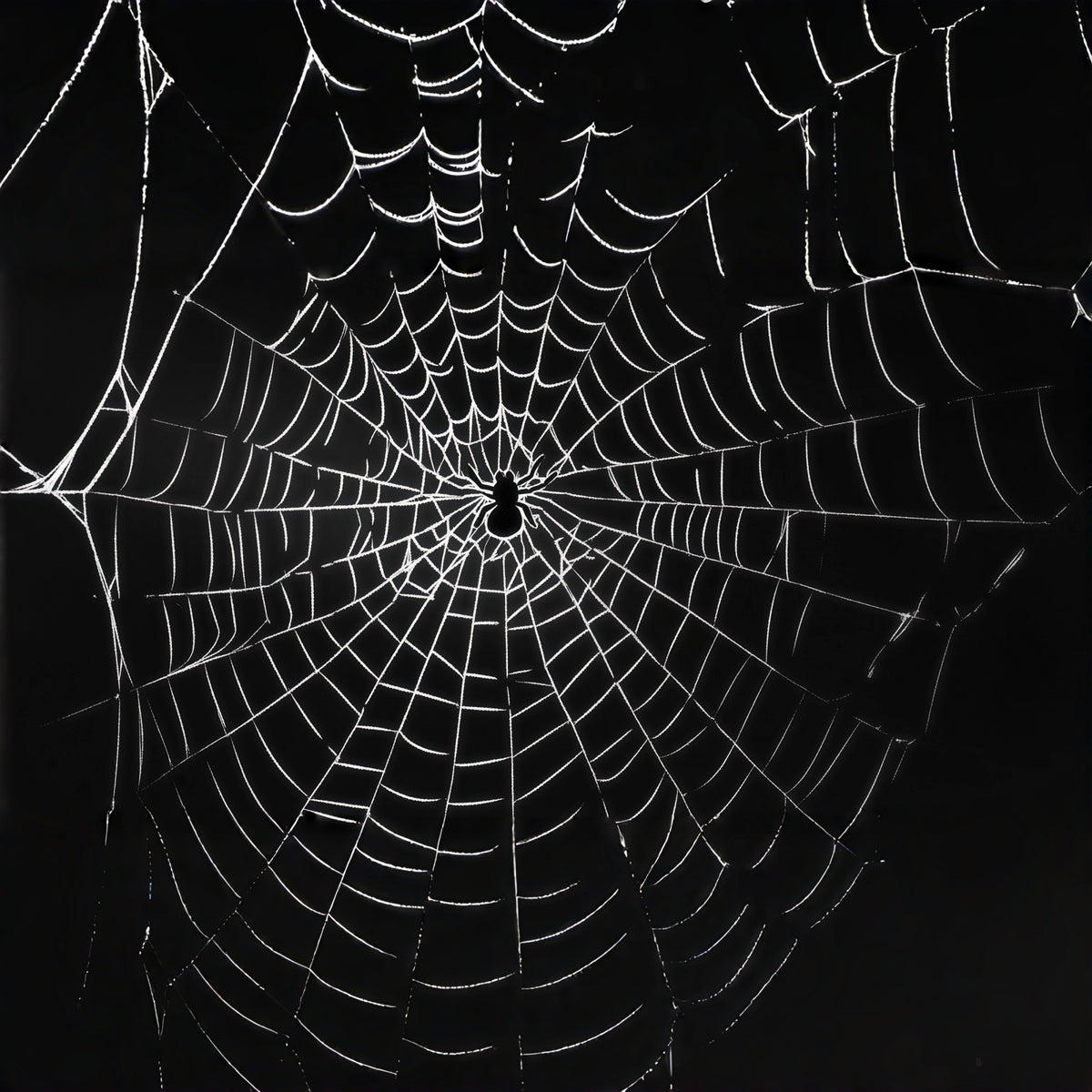 Spider Web Garage Door Cover Giant Spider Web Silhouette Halloween Garage Decorations RR68-27-1 car