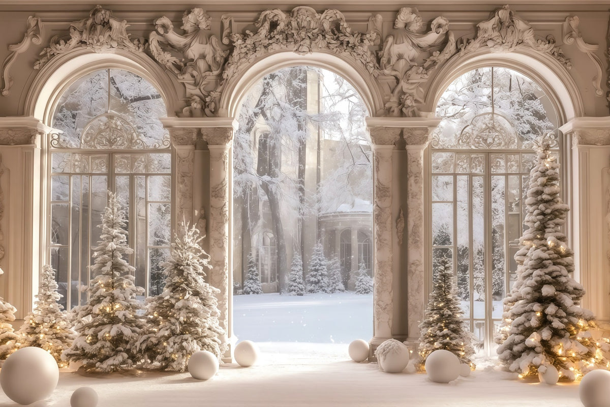 Victorian Christmas Backdrop Snowy Palace Window View Muslin Backdrop Christmas RR68-95