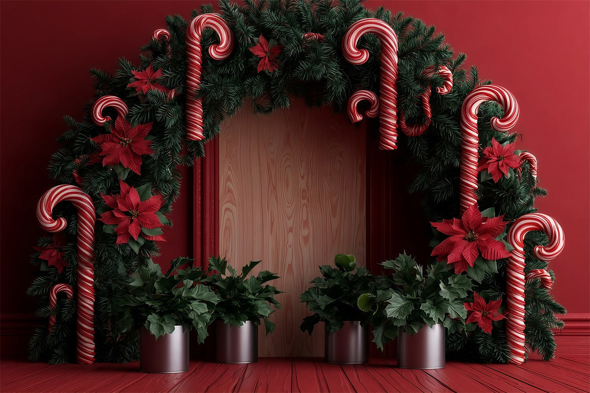 Candy Cane Christmas Backdrop Poinsettia Garland Archway Christmas Studio Backdrops RR69-79