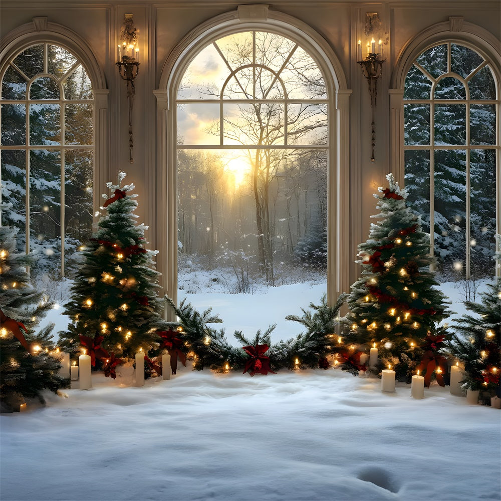 Christmas Trees Candles Window Snow Backdrop RR8-89