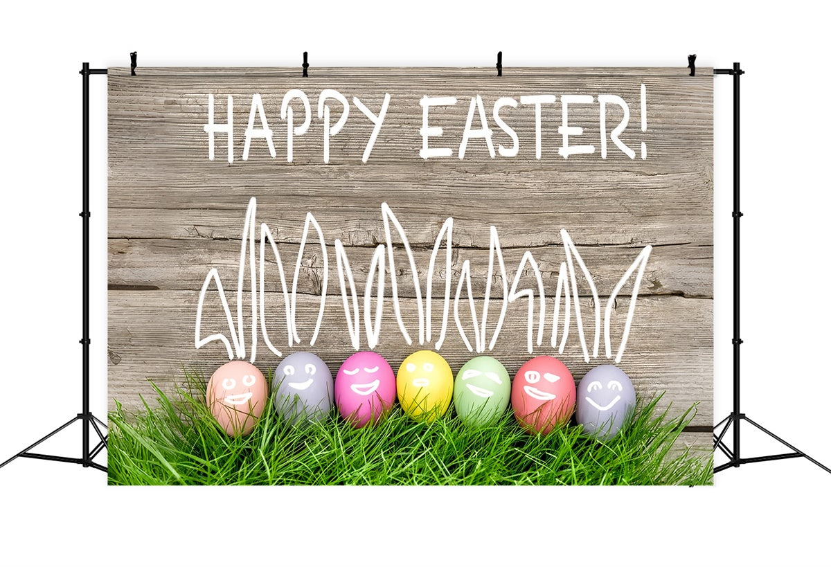 Easter Picture Ideas Hand-drawn Bunny Ears Eggs Backdrop TWW3-30