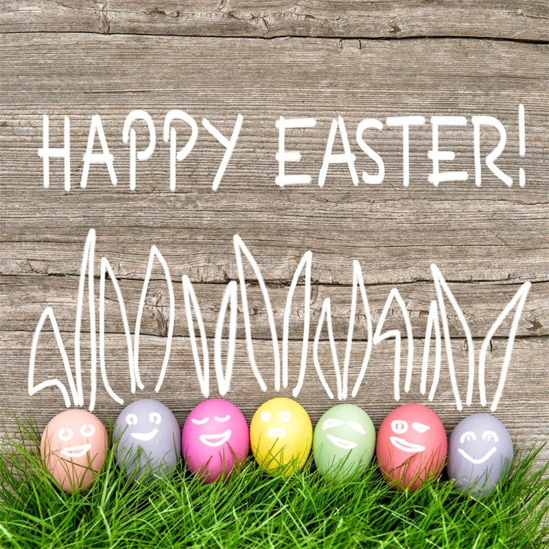 Easter Picture Ideas Hand-drawn Bunny Ears Eggs Backdrop TWW3-30