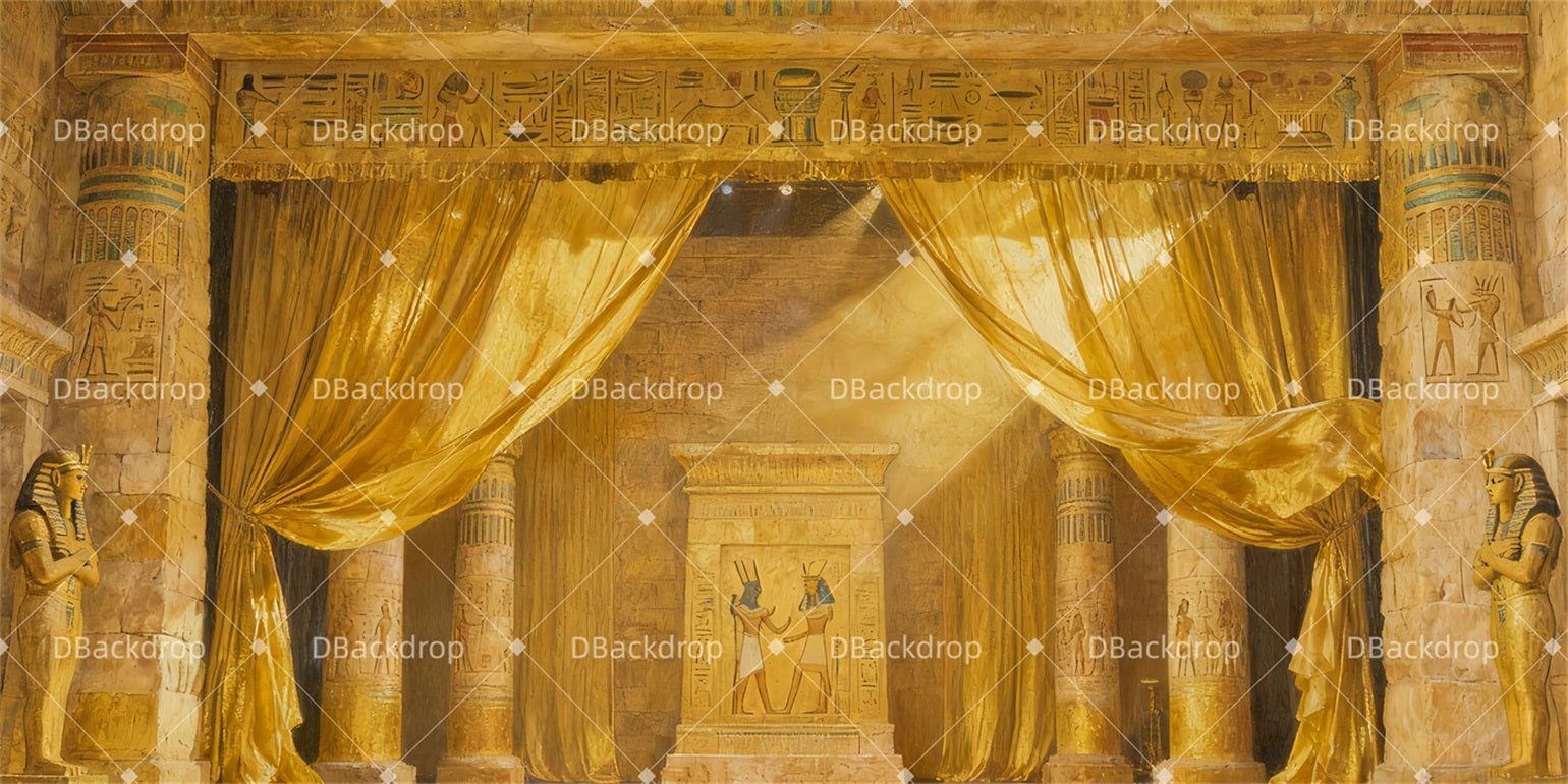 Theater Backdrop Reunion-in-Egypt Professional Stage Backdrops TWW510-T2