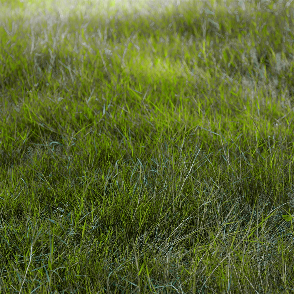 Floor Backdrops Morning Light Field Floor Backdrop TWW57-30
