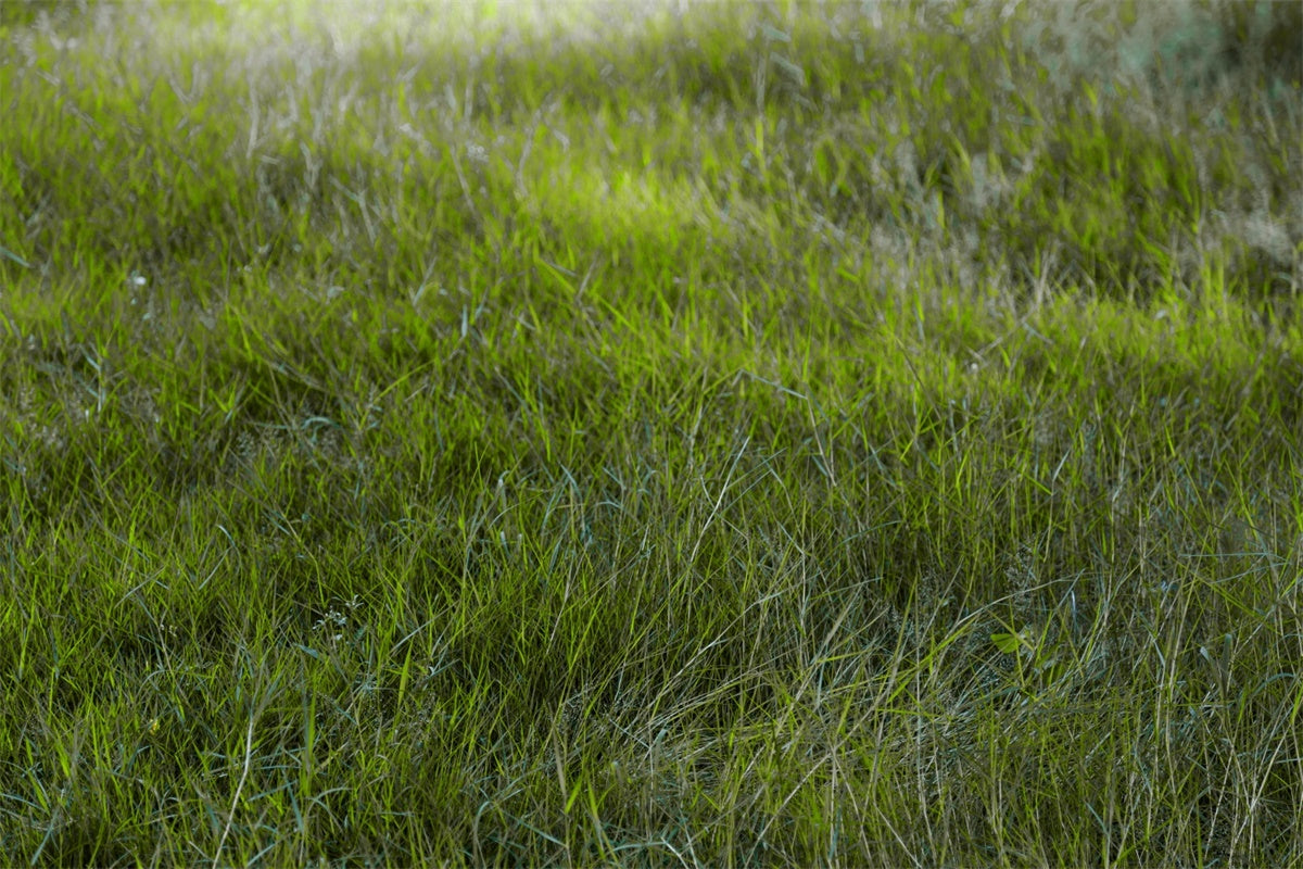 Floor Backdrops Morning Light Field Floor Backdrop TWW57-30