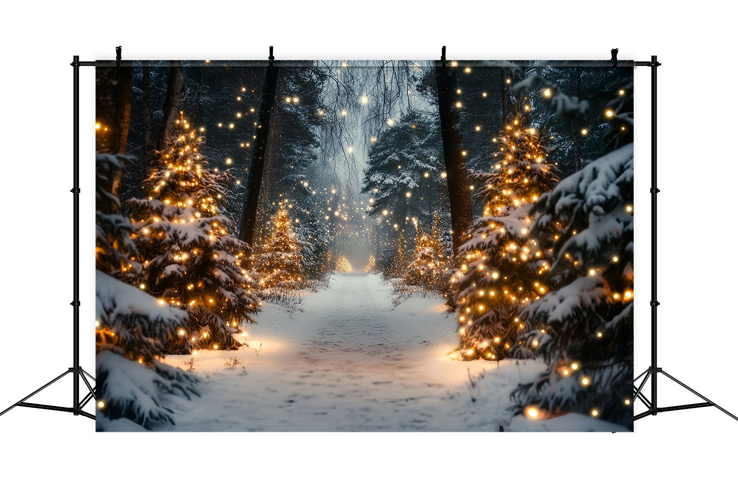 Christmas Tree Farm Backdrop Golden Light Snowy Forest Pathway Christmas Photography Backdrops TWW58-80