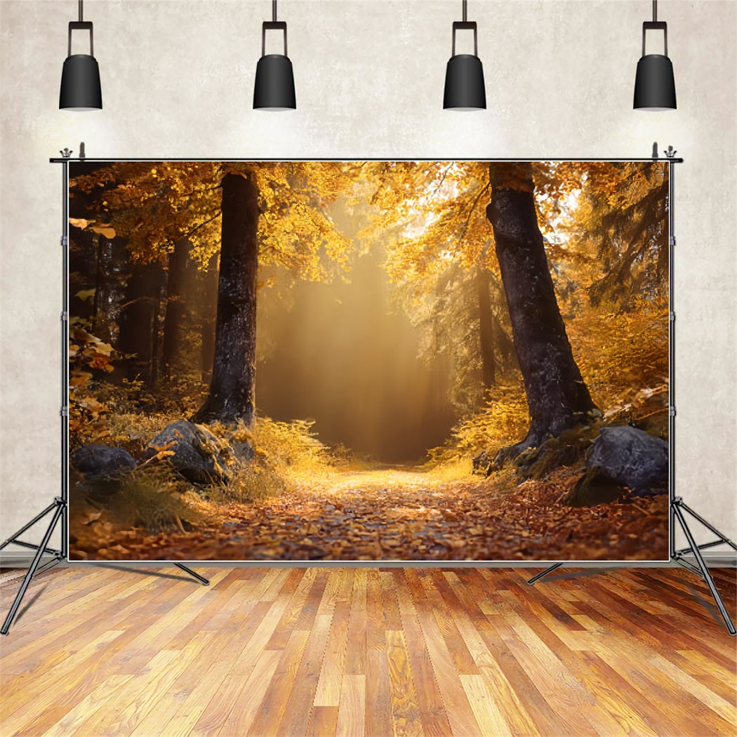 Fall Forest Backdrop Golden Autumn Sunlit Trail Forest Backdrops TWW59-138