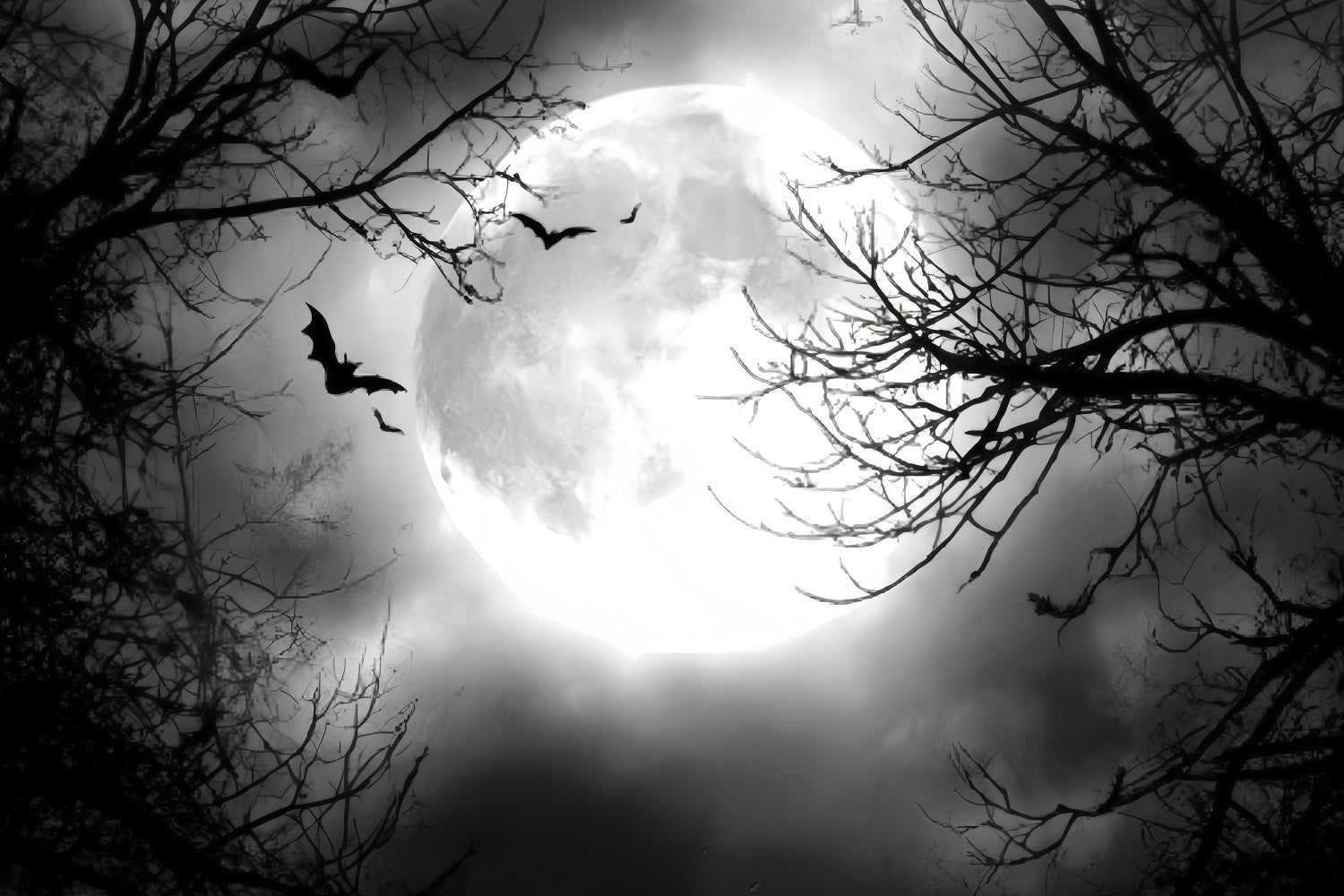 Halloween Moon Backdrop Full Moon Flying Bats Halloween Photography Backdrop TWW59-67
