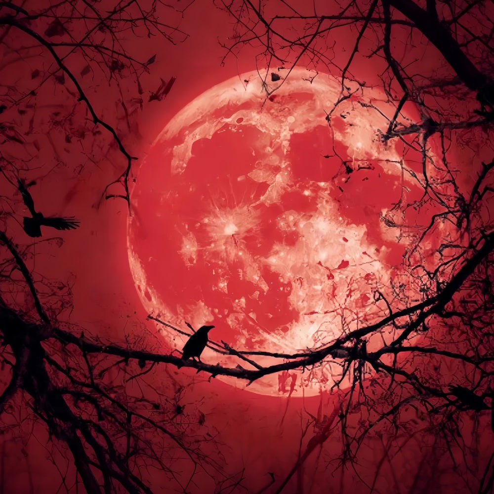 Halloween Moon Backdrop Bloody Moon Raven Silhouette Halloween Backdrops TWW59-83