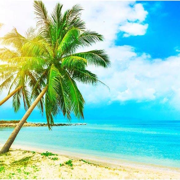 Beaches Summer Photography Ocean Backdrop G-500