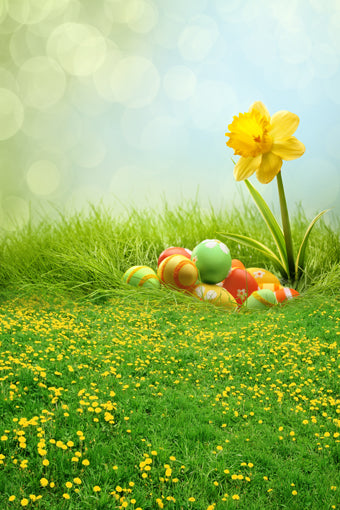 Easter Decorations Backdorps Eggs Green Grass  GE-058