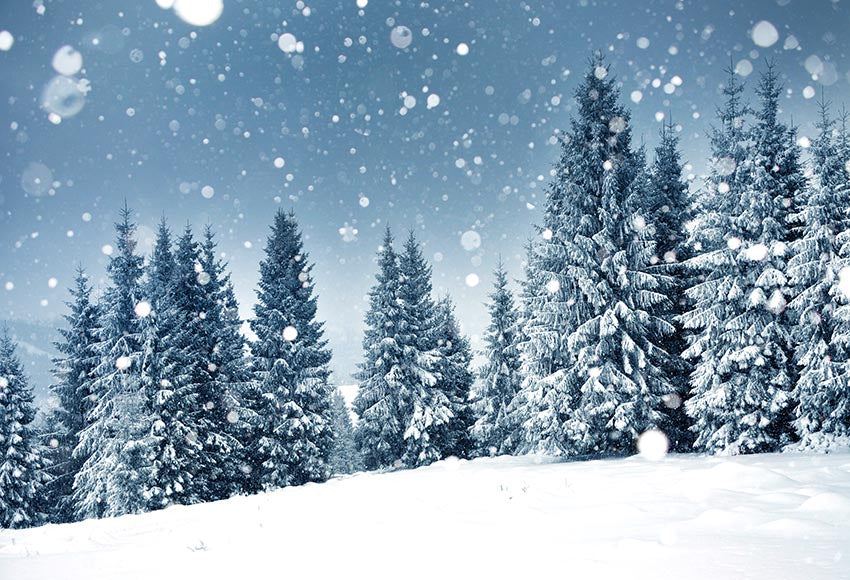 Winter Snow Christmas Trees Backdrop for Photography GX-1077
