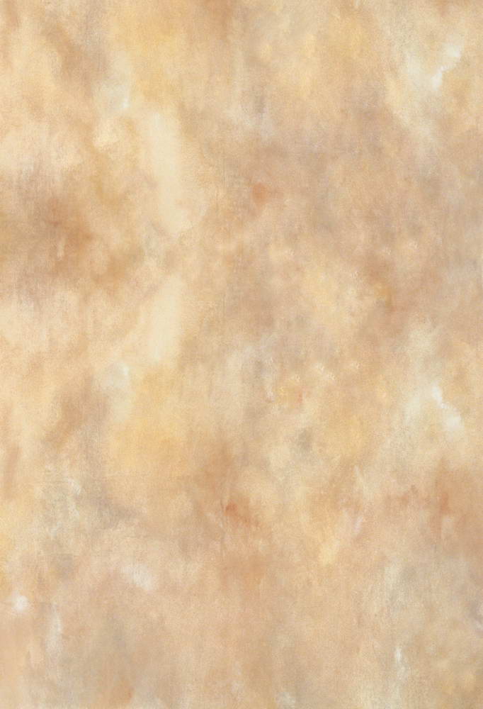 Portrait Backdrop Brown Abstract Texture MR-2159