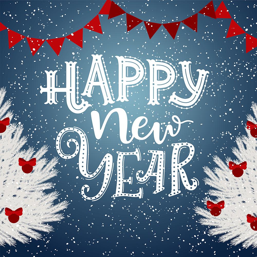 Happy New Year Christmas Photography Backdrop DBD-19323