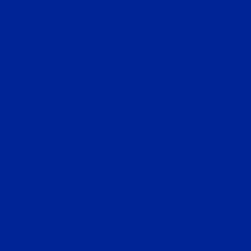 Royal Blue Solid Color Portrait Photography Backdrop S10