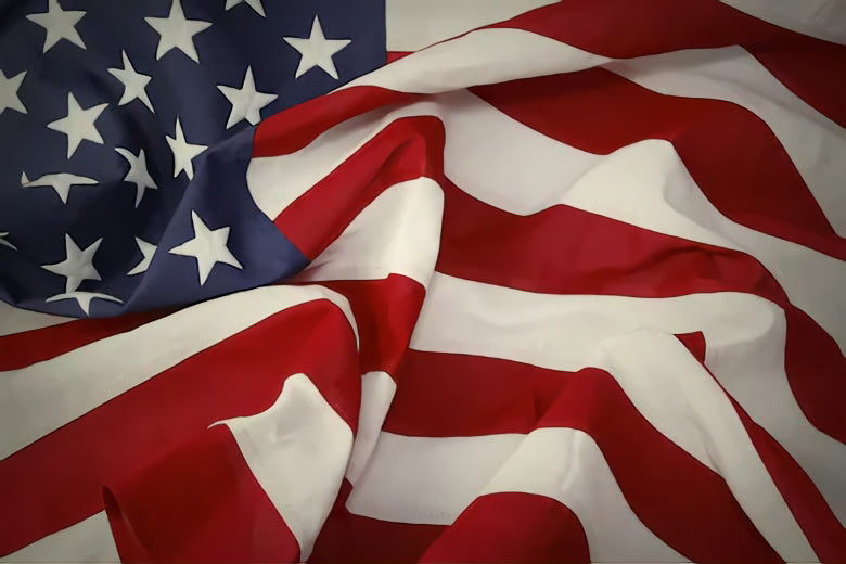 American Flag Independence Day Photo Booth Backdrop SH288