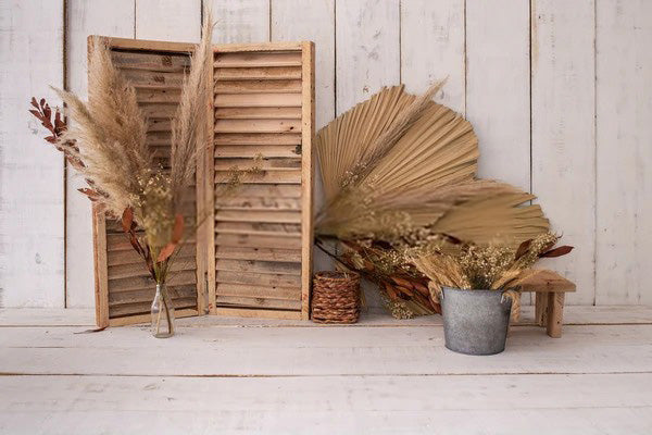 Rustic Wood Door Backdrop for Photography SH610