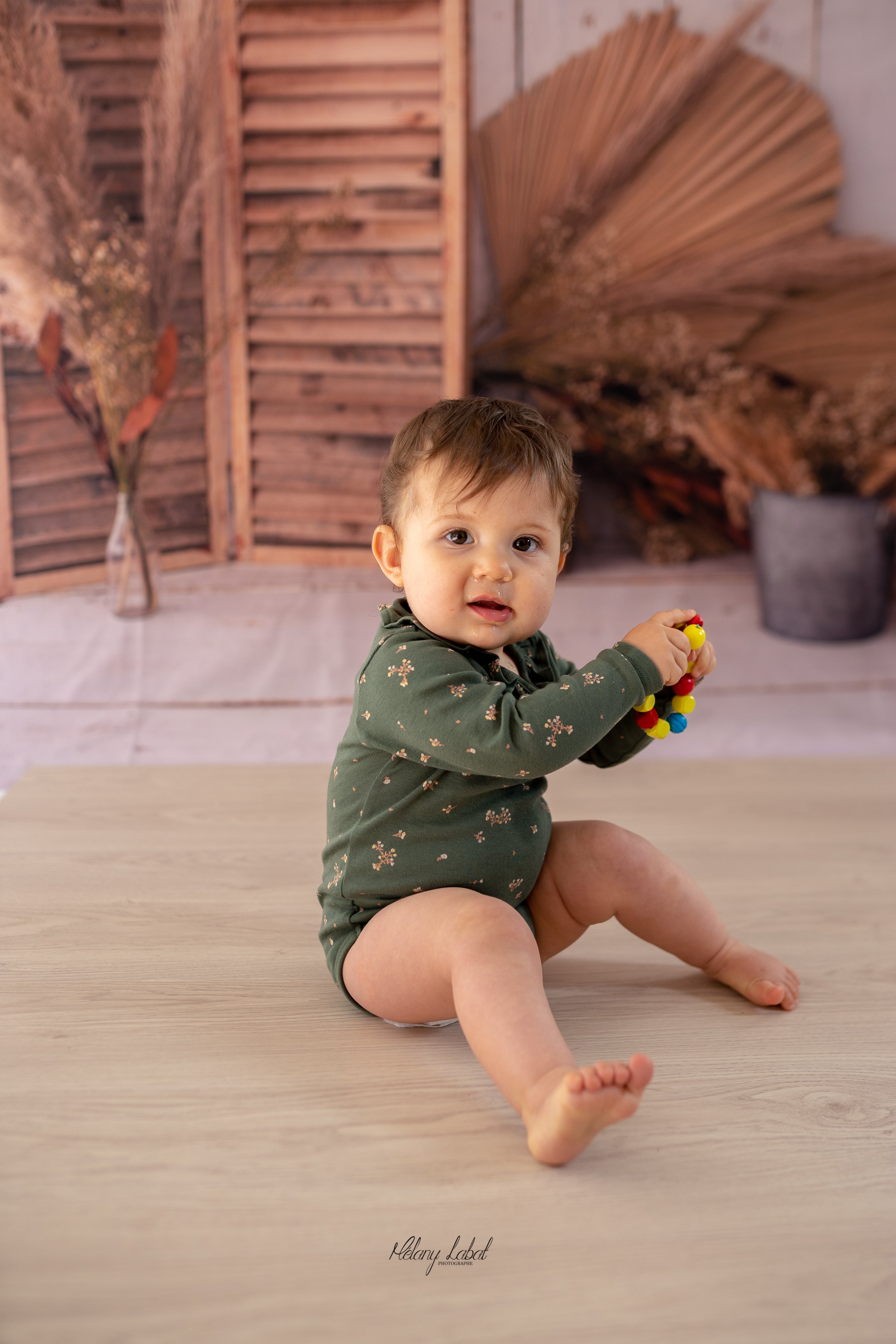 Rustic Wood Door Backdrop for Photography SH610