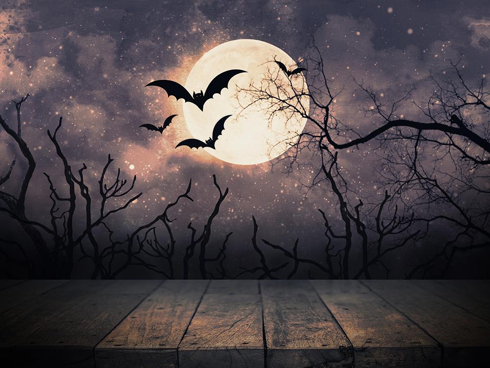 Halloween Night Moon and Bats Photo Booth Backdrop DBD-H19004