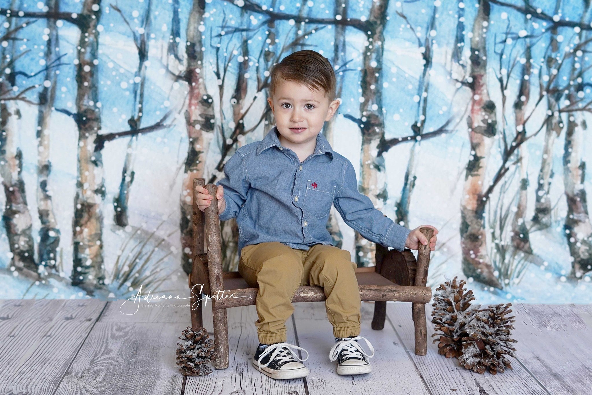 Winter Forest Backdrop Snowy Trees Wonderland Forest Backdrop MRR10-35