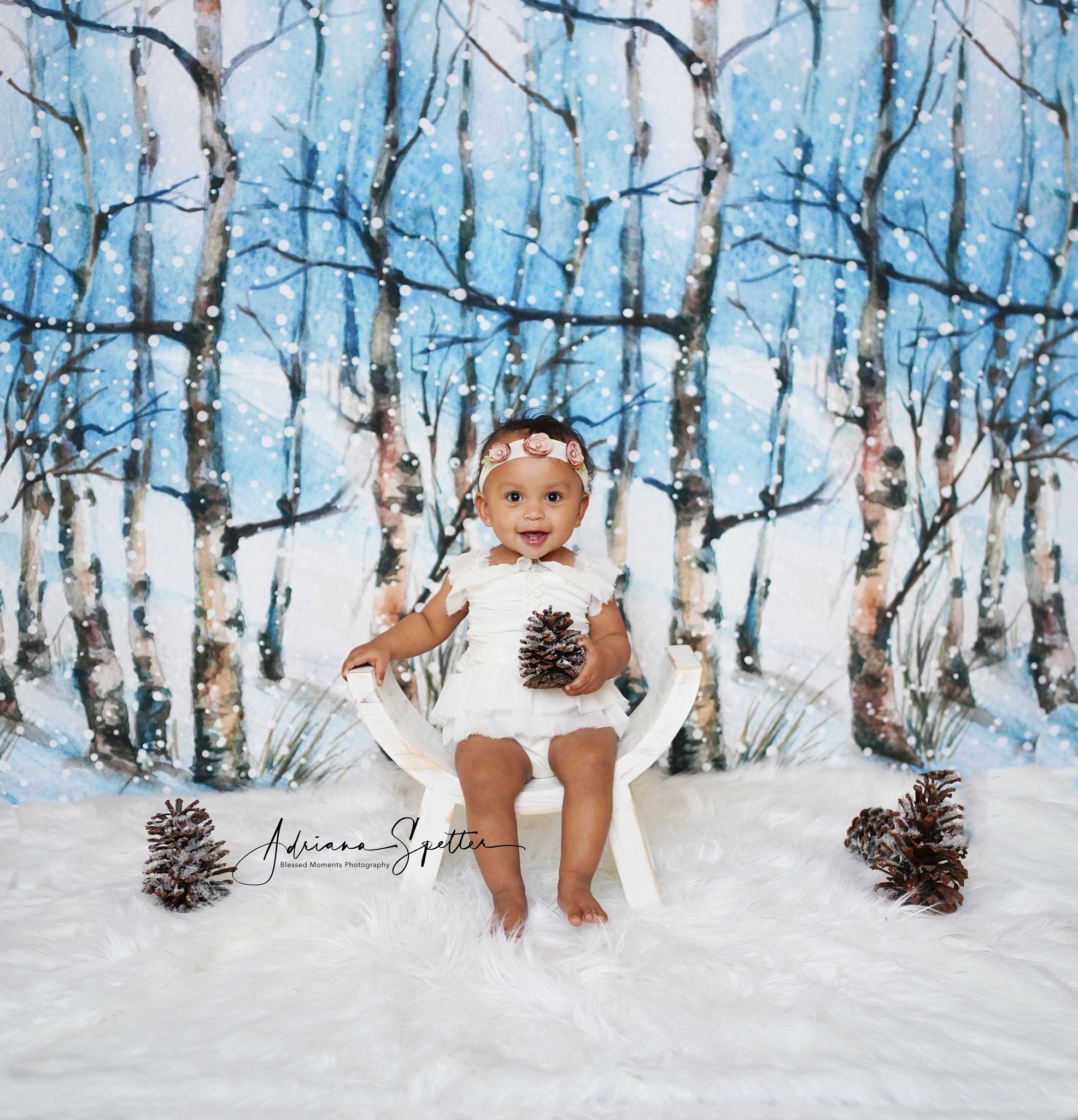 Winter Forest Backdrop Snowy Trees Wonderland Forest Backdrop MRR10-35