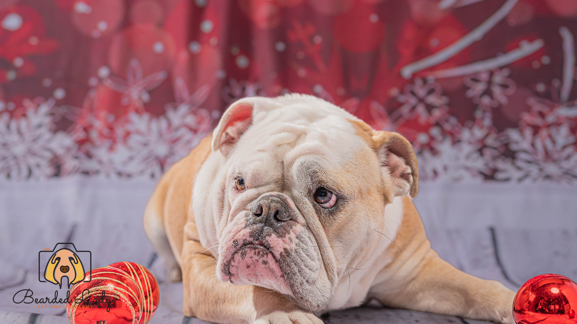Christmas Tree Snowflake Red Bokeh Backdrop for Photography L-858