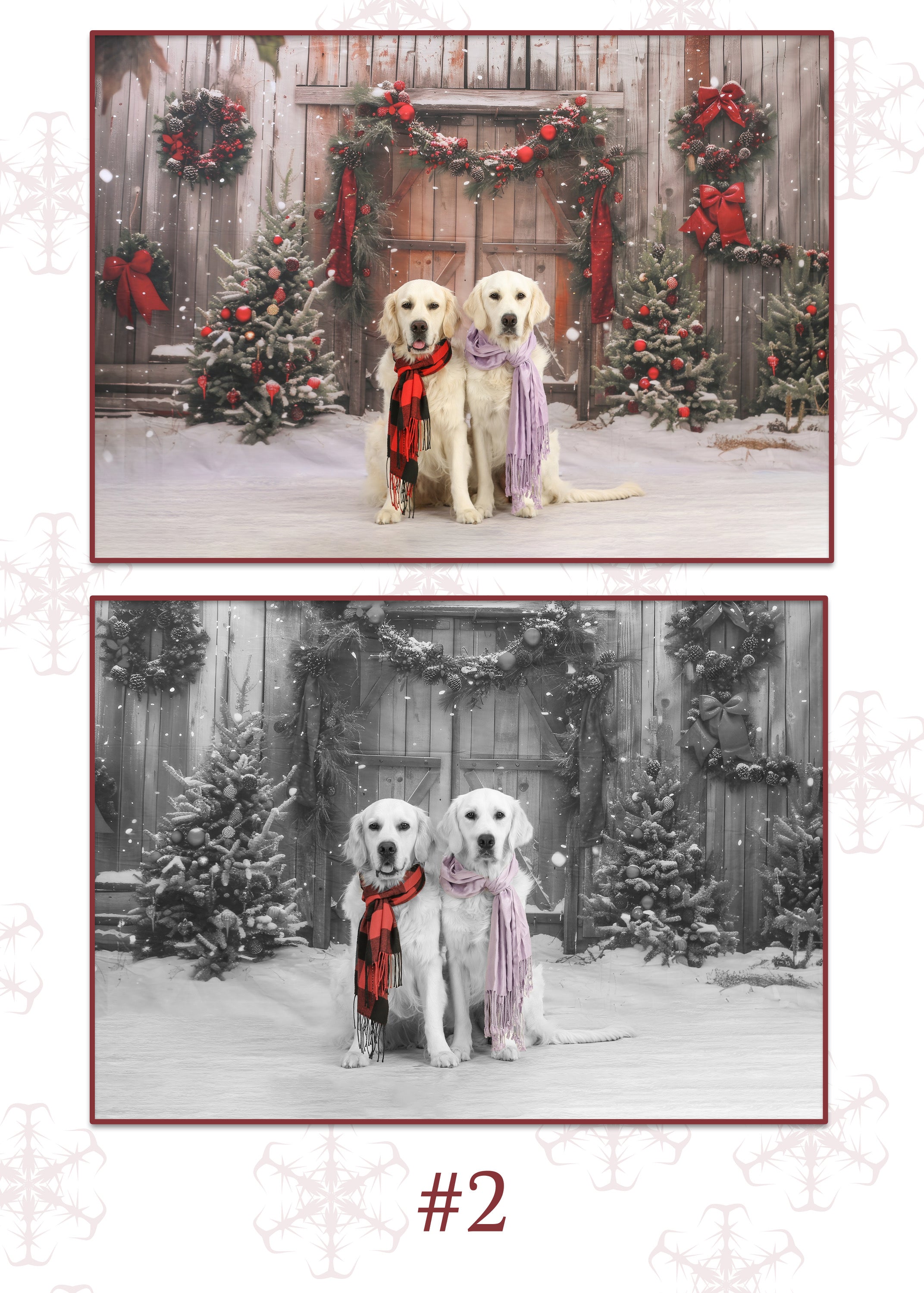 Christmas Cozy White Porch Backdrop RR8-201