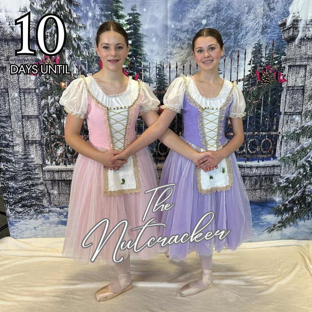 Xmas Decor Ribbon Bell Snow Backdrop for Picture  ST-455