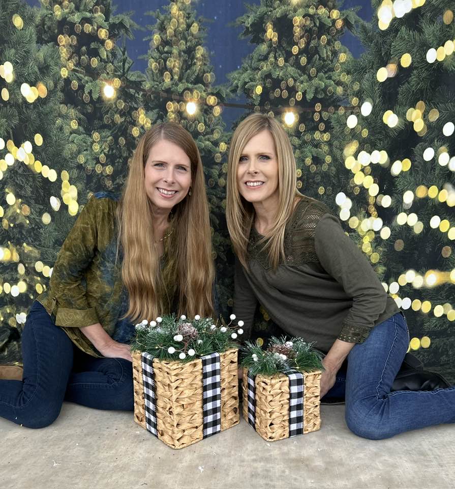 Night Twinkle Christmas Farm Photo Booth Backdrop  D833