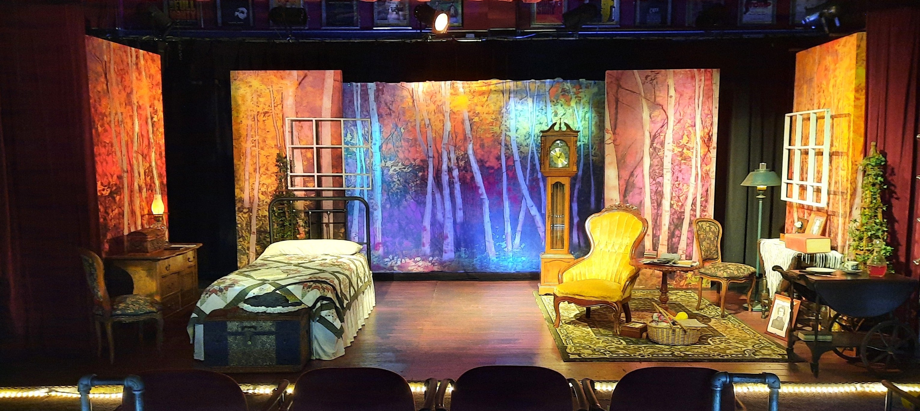 Colorful Autumn Birch Forest Backdrop for Photography BRP7-197