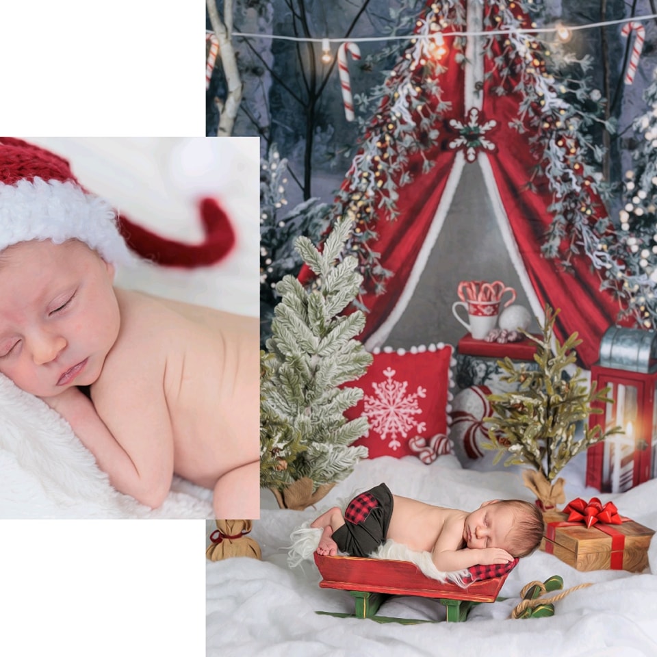 Snow Forest Backdrop Candy Cane Winter Tent Forest Backdrop MRR9-73