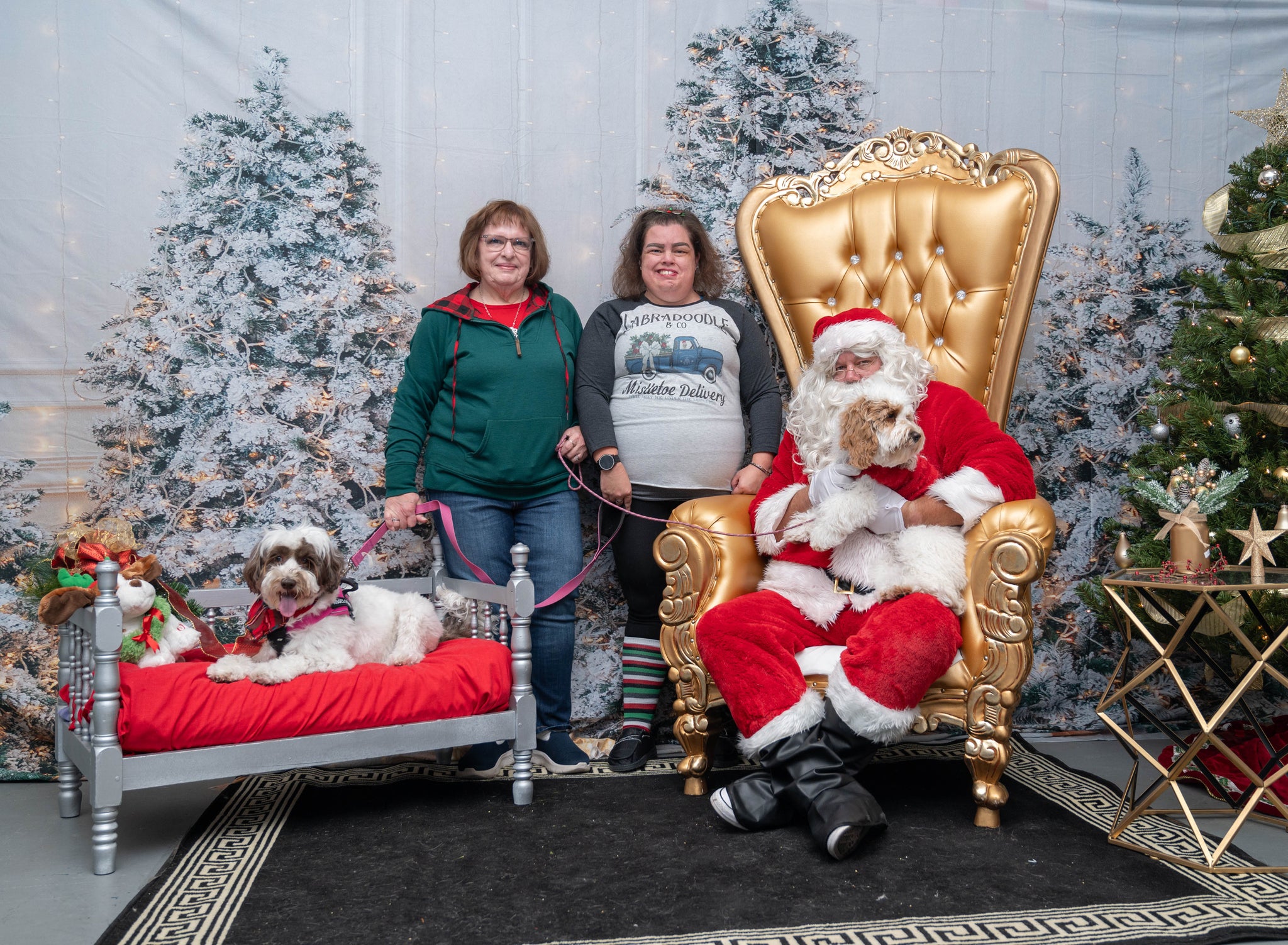 Glowing Christmas Tree Photo Booth Backdrop M9-16