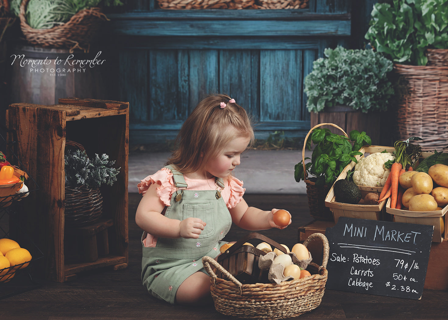 Spring Photography Backdrop Rustic Grocer Farm Window Backdrop LXX1-153