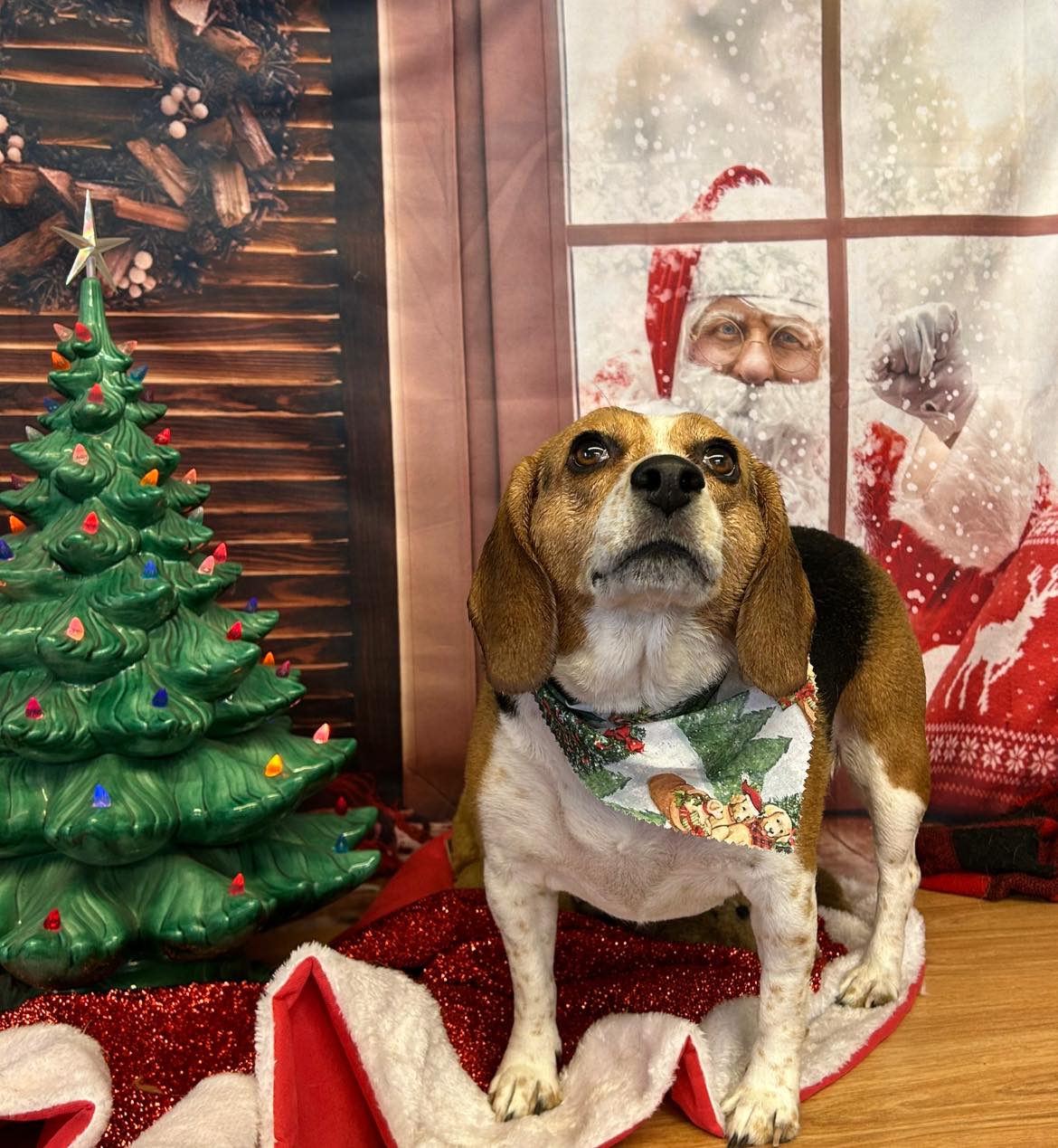 Santa Claus Outside Window Christmas Backdrop M7-07