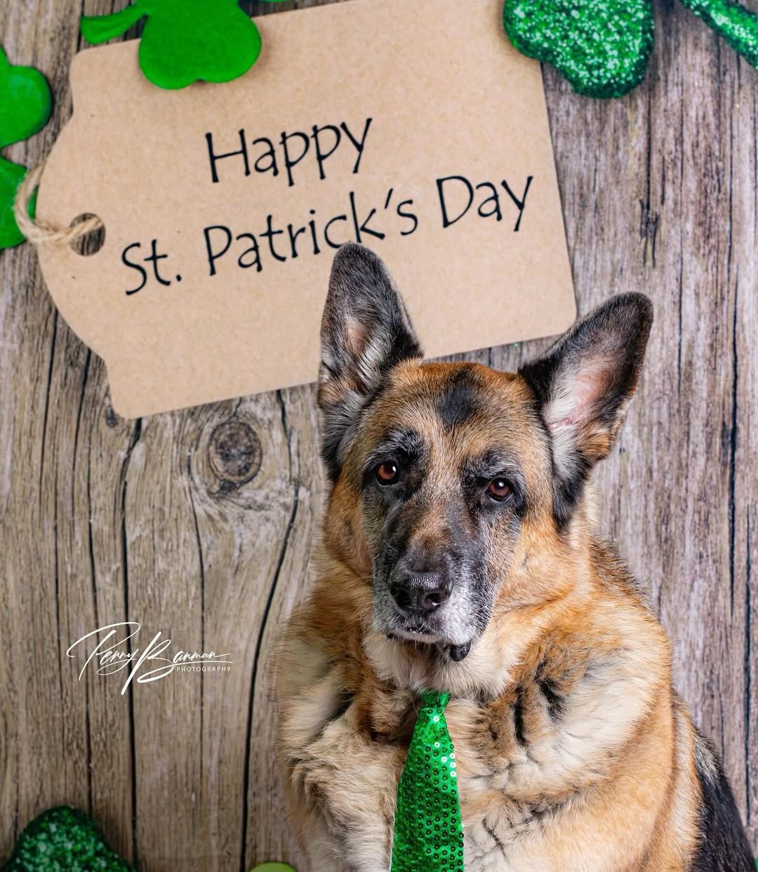 Happy St. Patrick's Day Wood Clover Backdrop G7