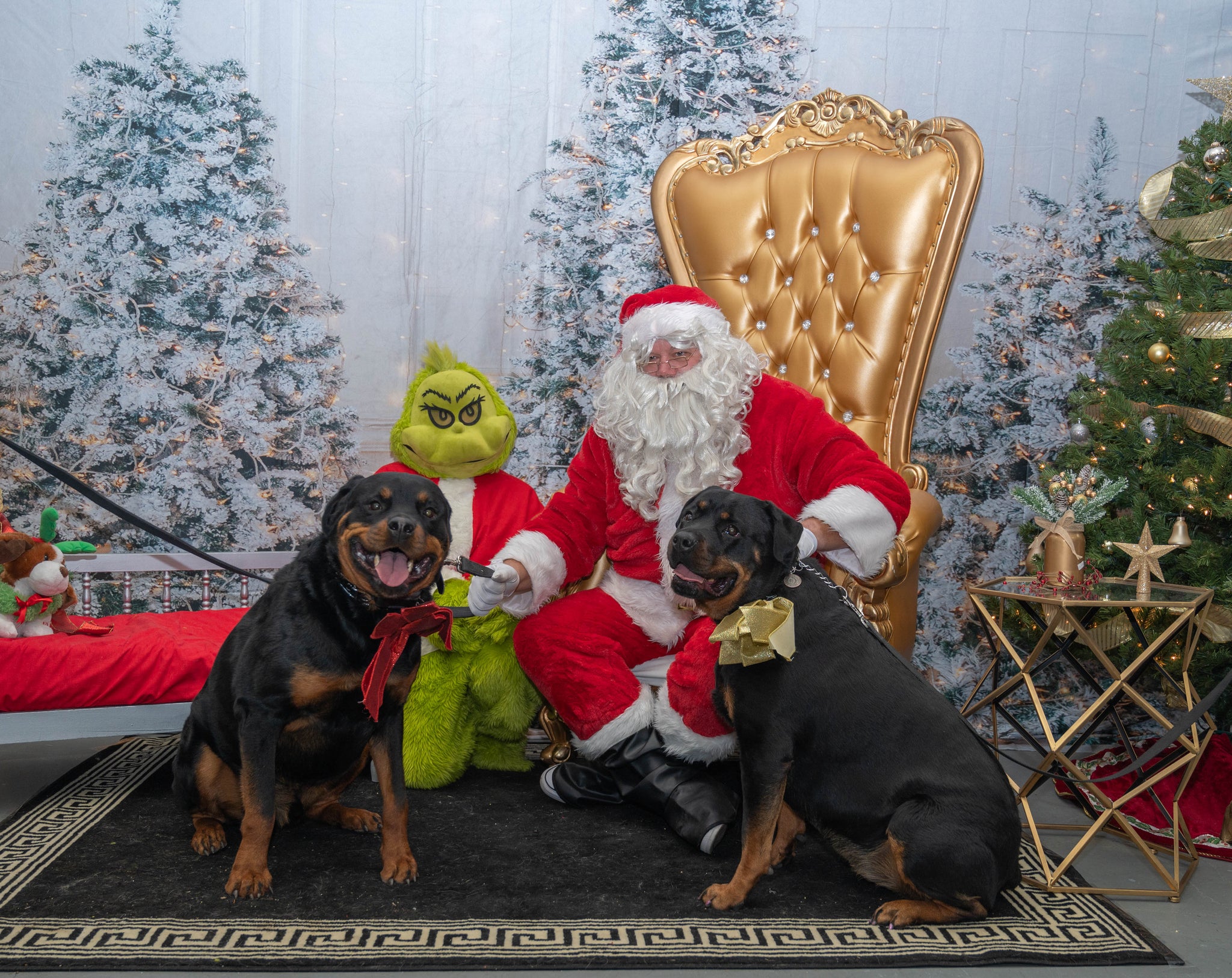 Glowing Christmas Tree Photo Booth Backdrop M9-16