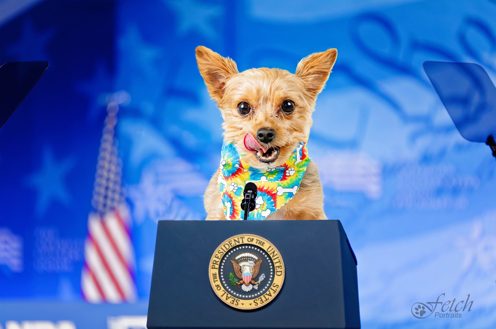 Blue Sky Clouds Backdrop  for Photo Studio RI-7