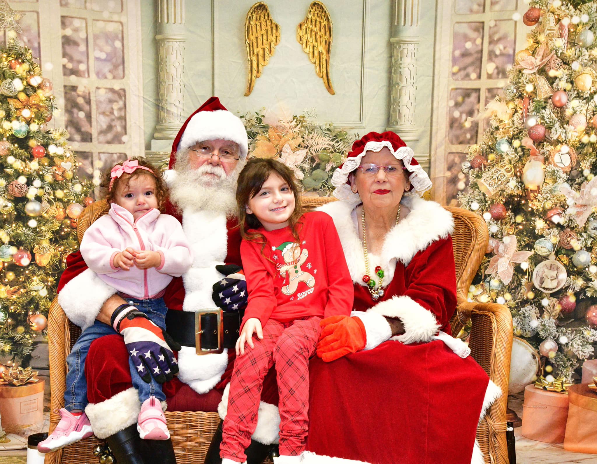 Xmas Palace Classic Indoor Fireplace Backdrop M7-29