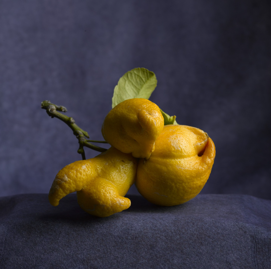 Abstract Texture Retro Blue Backdrop for Portrait Photography DHP-606