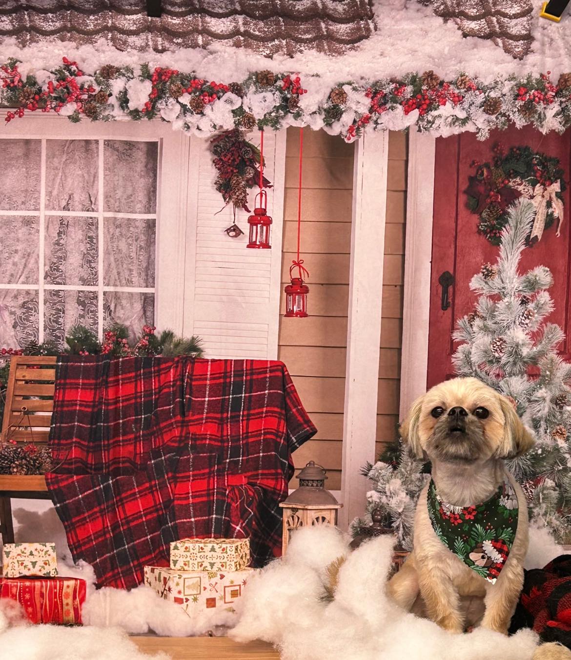 Cotton Christmas Decoration House Box Gift Backdrop DBD-H19184