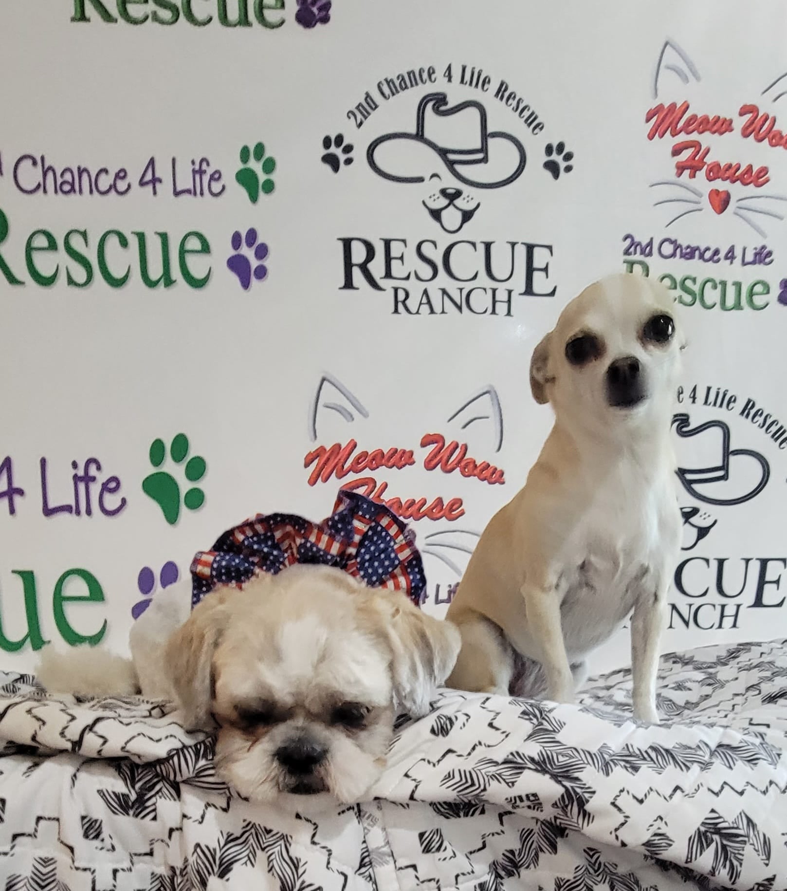 Custom Step & Repeat Logo Personalized Photo Banner