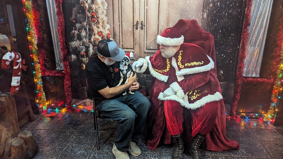 Snowflake Christmas Tree Presents Backdrop M10-53