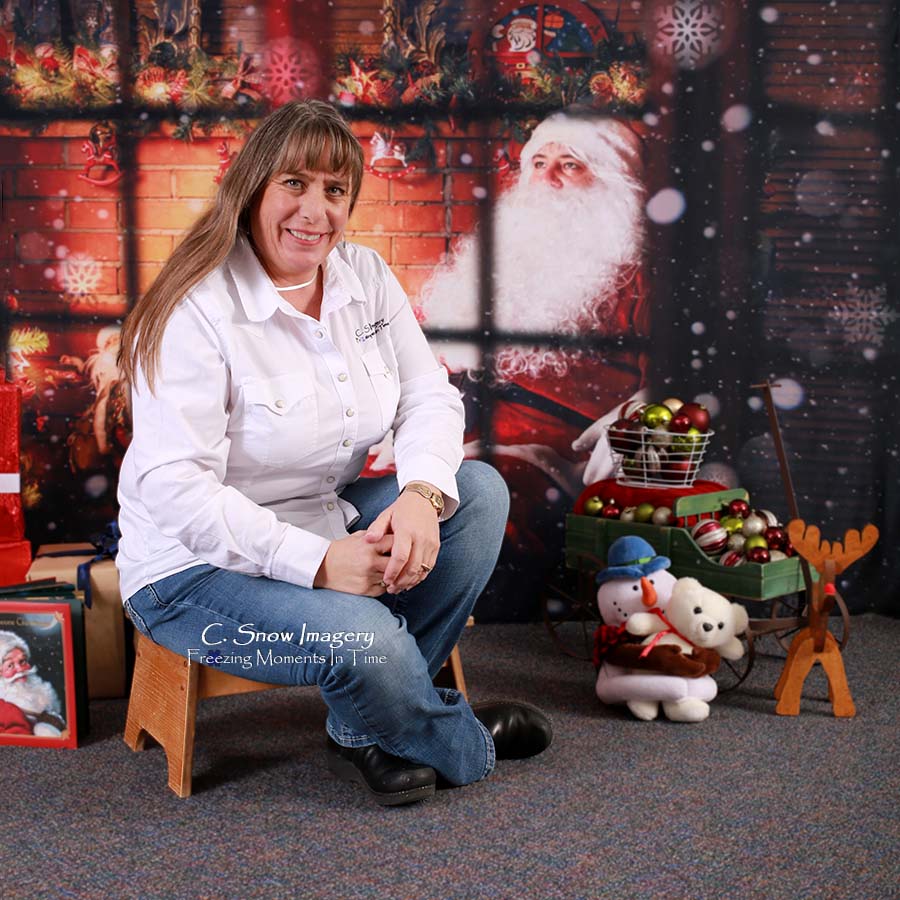 Snowy Christmas Santa Claus Photo Backdrop M7-08